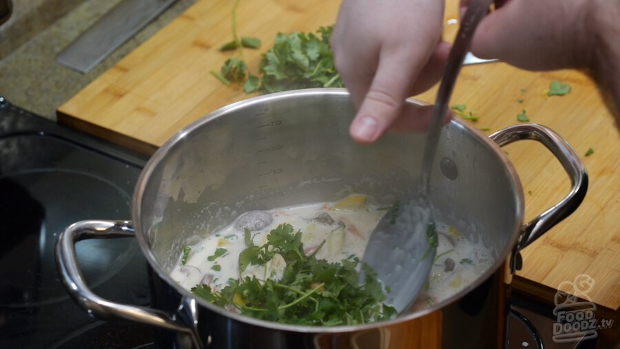 Cilantro being added to the finished soup